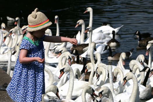 Song Painting Free Elementary Music Lesson Plan Cover Image