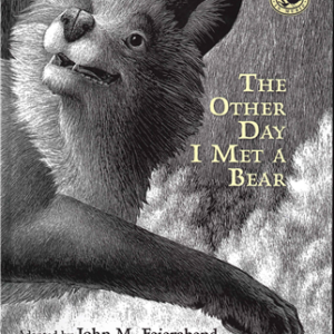 The Other Day I Met a Bear