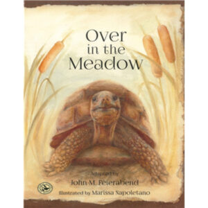 Over in the Meadow (Feierabend)