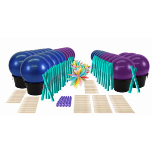 Drums Alive Drumtastic 2.0 30 Participant Set