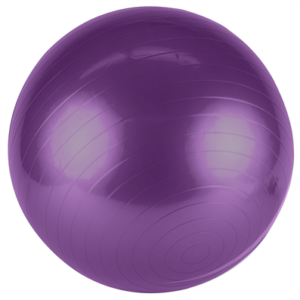 Stability Ball WM-55 55cm Ball