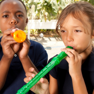 6 Days to Recorder Success Blueprint