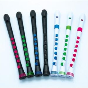 Recorder Plus