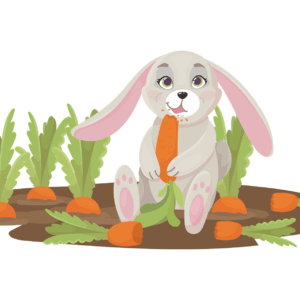 Muncha Muncha Muncha Blueprint Download