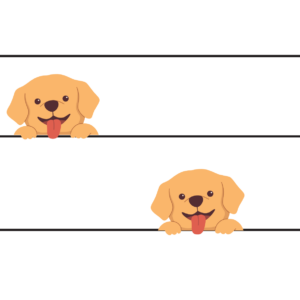 Sol-Mi Blueprint Download