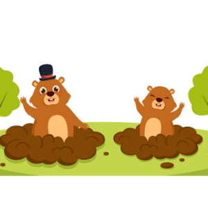 Woodchuck or Groundhog Blueprint Download